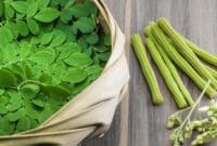 Cara Mengolah Daun Kelor untuk Obat Diabetes