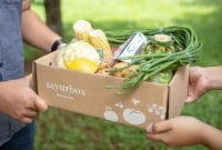 Belanja Dari Rumah Pakai Aplikasi Grocery Online